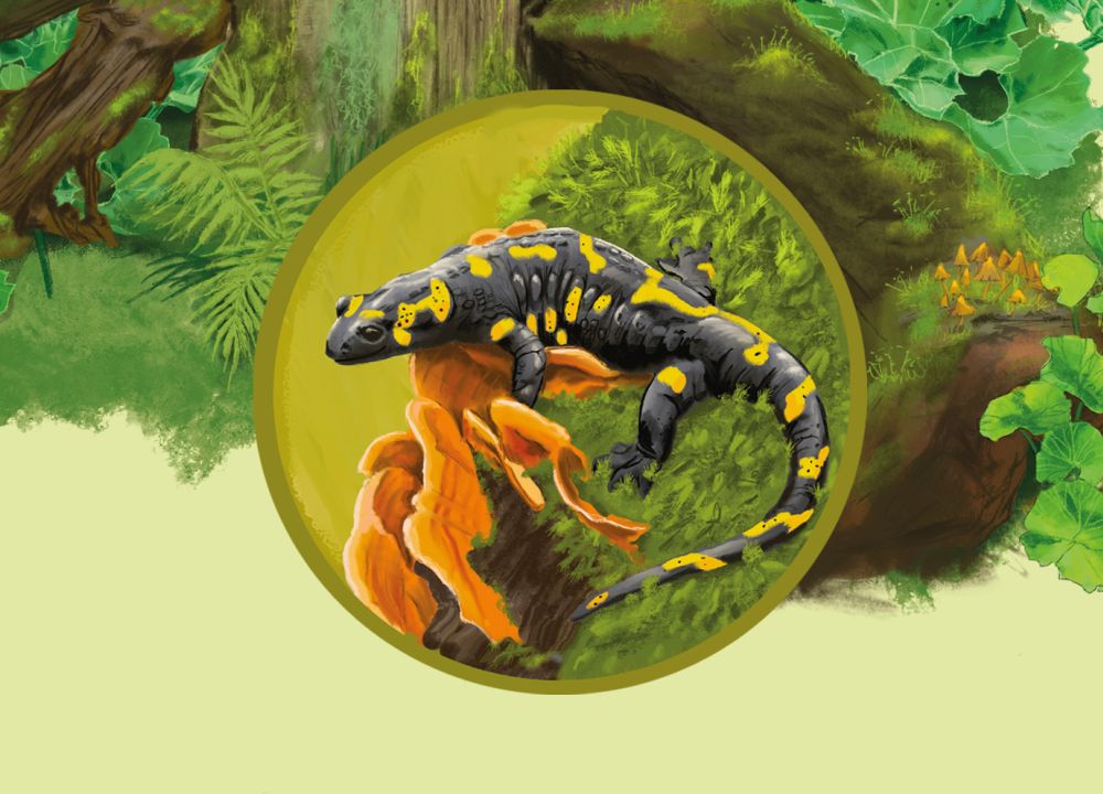 Waldszenerie mit totem Baum mit Eule, Specht, Salamander, spitzmaus und Kröte