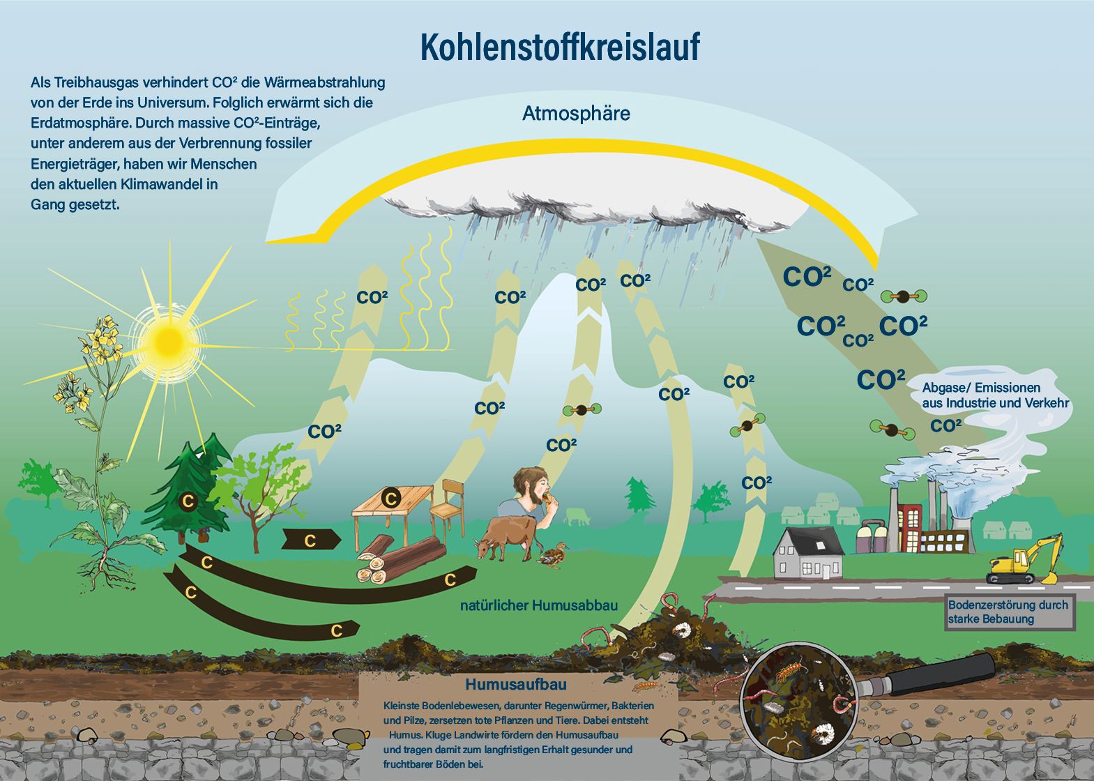 Kohlenstoffkreislauf Co2- Kreislauf