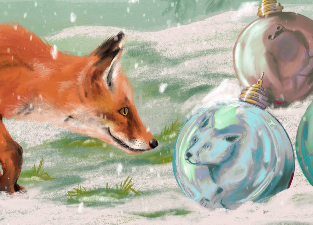 Winterlandschaft, ein Fuchs und ein Rotkehlchen spiegeln sich in Weihnachtskugeln