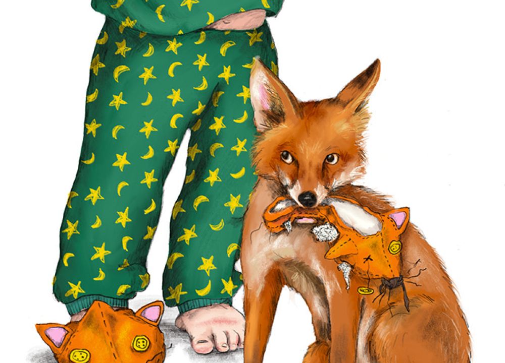 Ein Junge im Schlafanzug hält sich die Augen zu, ein Fuchs hat seinen Hausschuh im Maul und kaputt gemacht