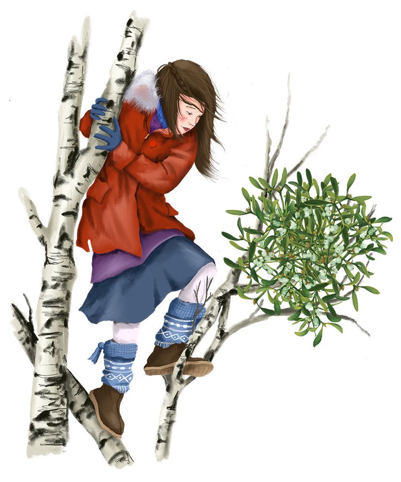 Ein Mädchen in Winterkleidung klettert auf eine Birke an deren Ästen lebt eine Mistel