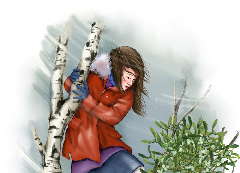 Ein Mädchen in Winterkleidung klettert auf eine Birke an deren Ästen lebt eine Mistel