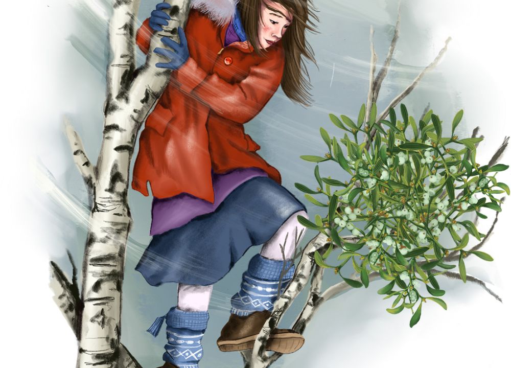 Ein Mädchen in Winterkleidung klettert auf eine Birke an deren Ästen lebt eine Mistel