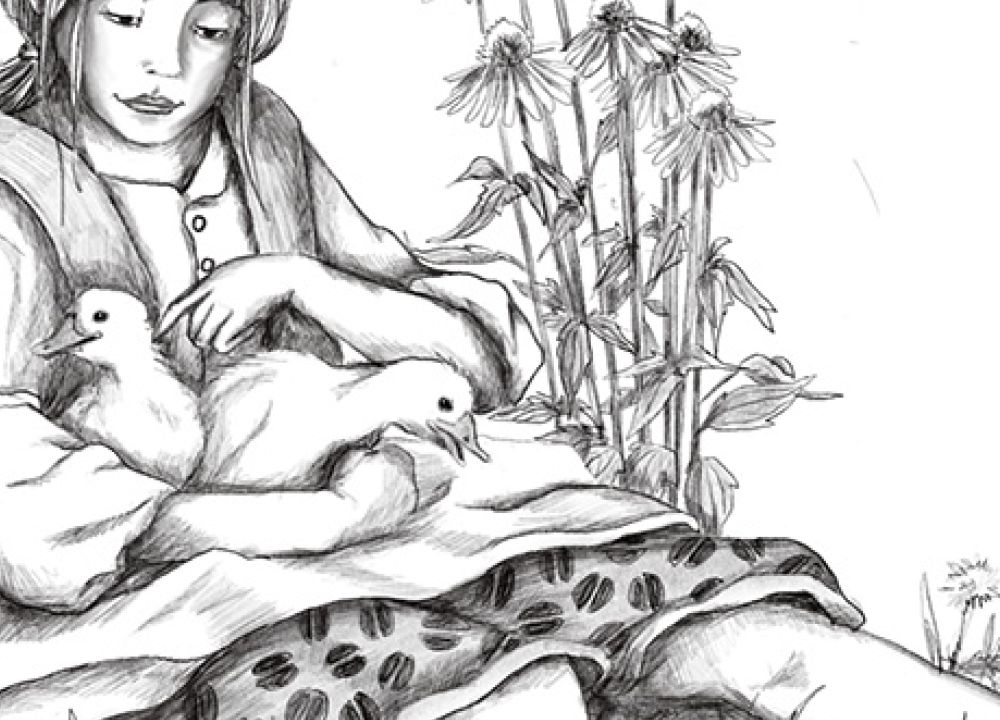 sw zeichnung Mädchen im Kleid sitzt auf einer Wiese mit zwei Gänseküken auf dem Arm