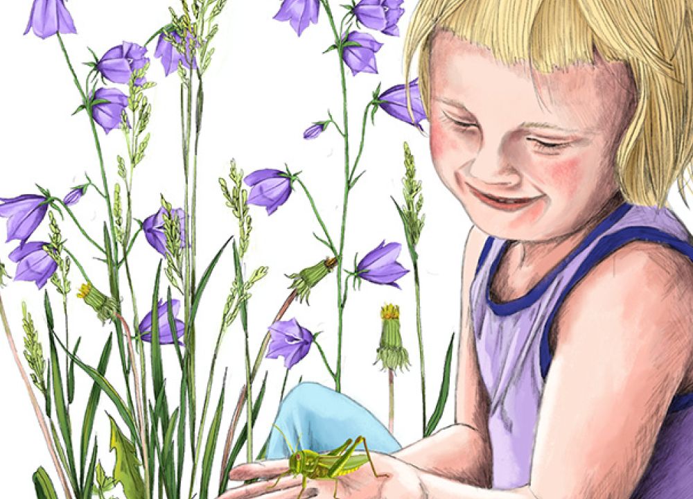 Janine Spade - freischaffende Illustratorin lebt und arbeitet im Harz.