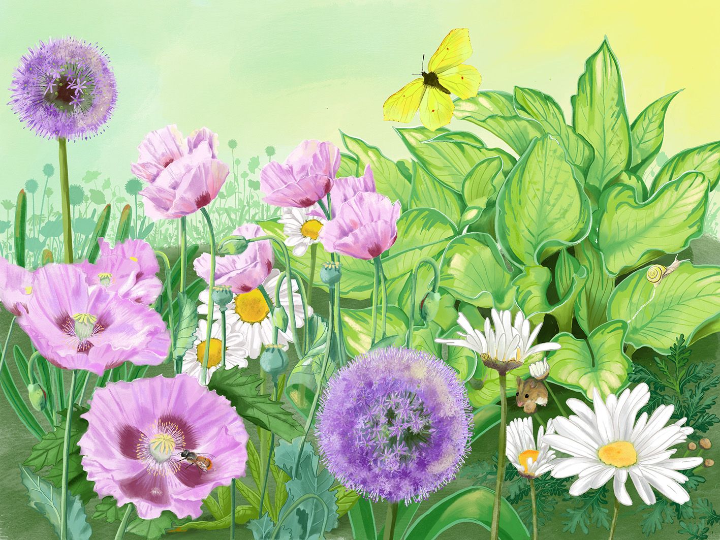 ein Blumenbeet mit Mohn, Lauch, Margariten, Schmetterling