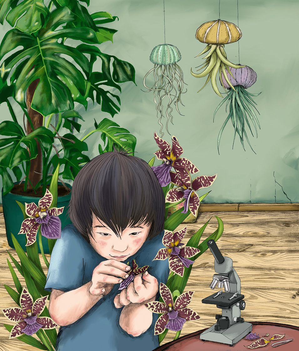 Ein Junge inmitten von Zimmerpflanzen untersucht eine Orchidee mit dem Mikroskop. Im Hintergrund Pflanzen die in Seeigeln wachsen
