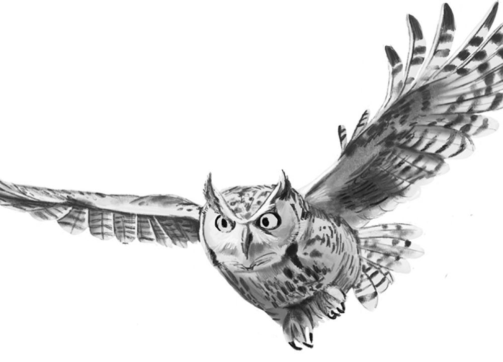 Ein fliegender Uhu