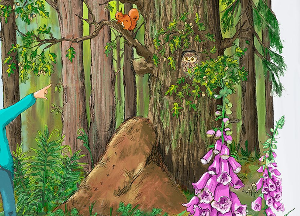 Buchcover mit 2Kindern im Wald, in einer Eiche sitzen eine Eule und Eichhörnchen, davor ein Ameisenhaufen. Imvordergrund sind Brombeerranken, ein Schmetterling und Fingerhut
