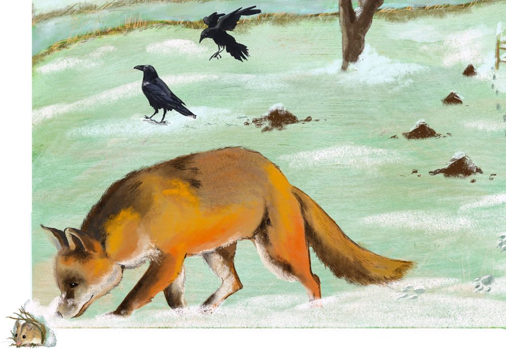 Eine verschneite Wiese mit einem Baum und Krähen im Winter. Im Vordergrund sucht ein Fuchs eine Maus